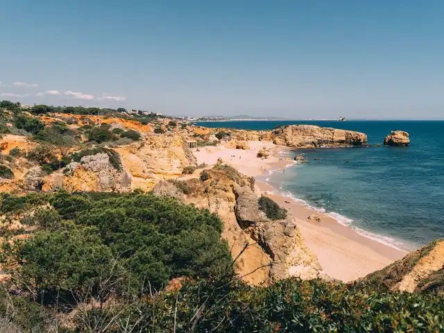Algarve food, wine and market produce